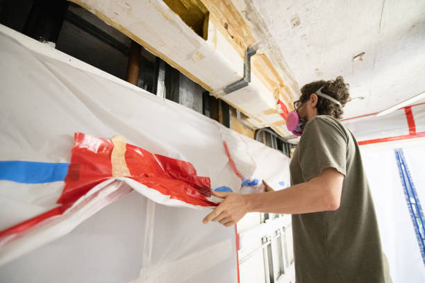 Best Mold Removal for HVAC Installations  in Lamoni, IA