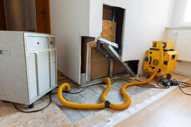 Best Industrial Mold Remediation  in Lamoni, IA