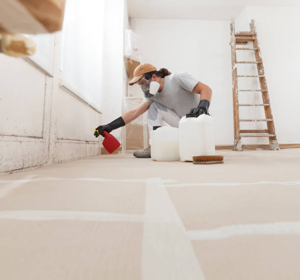 Dehumidification Services in Lamoni, IA